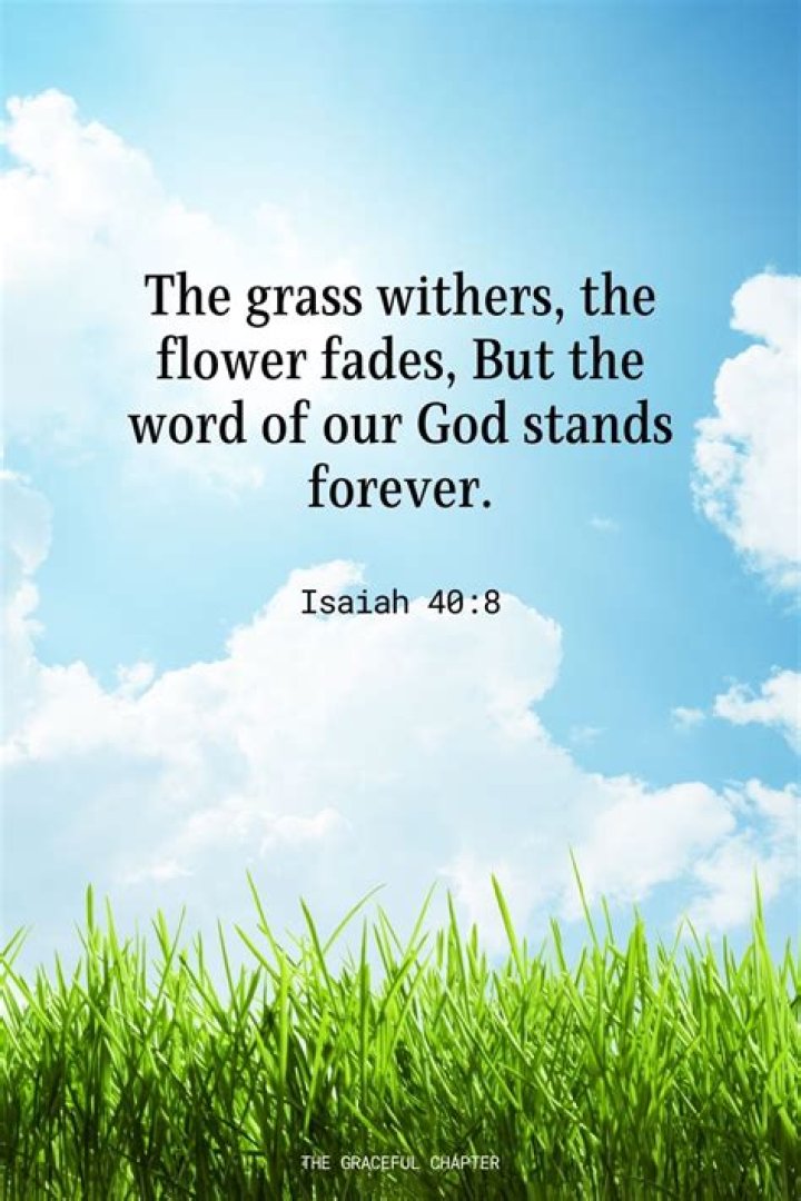33 Quotes About Dead Flowers