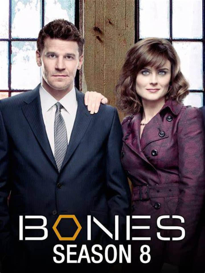 Bones RECAP 2/11/13: Season 8 Episode 15 &ldquo;The Shot in the Dark&rdquo;