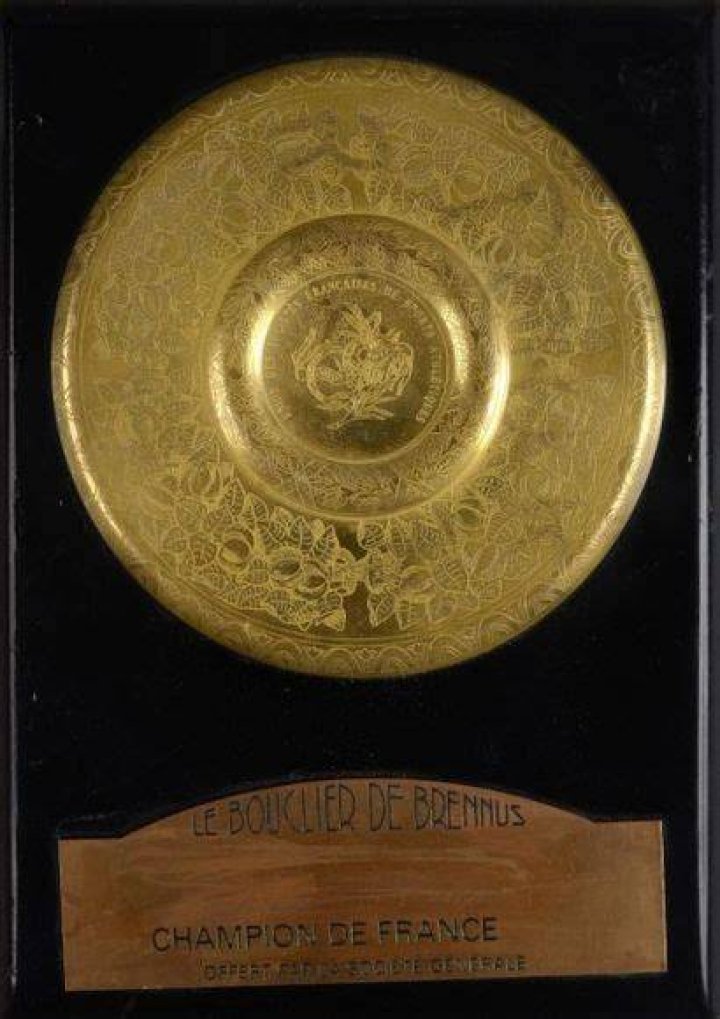 Bouclier De Brennus Poids