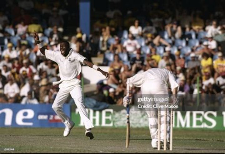 curtly ambrose dwts wiki curtly ambrose dwts wiki