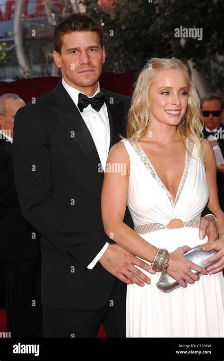 David Boreanaz, Jaime Bergman's Husband
