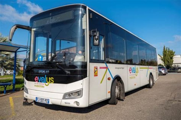 Eva-Lys