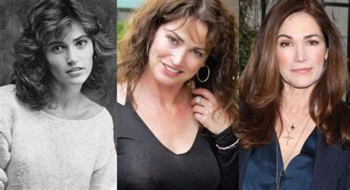 Kim Delaney Plastic Surgery Before and After