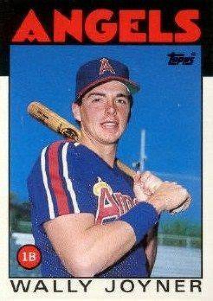 Lesley Joyner, Wally Joyner's Wife
