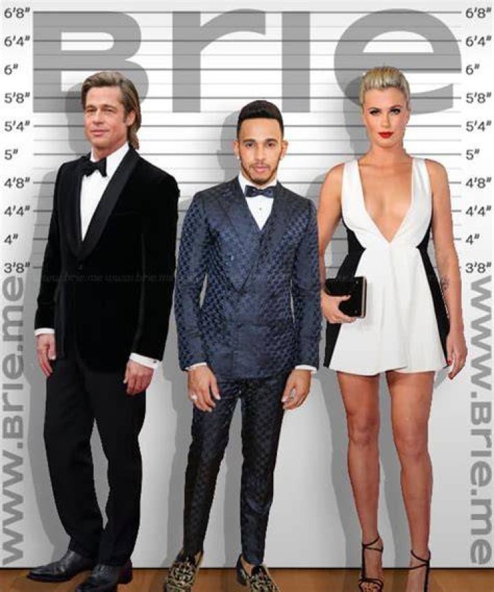 Lewis Hamilton Hight