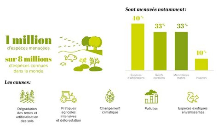 Mesures écologiques et leurs impacts