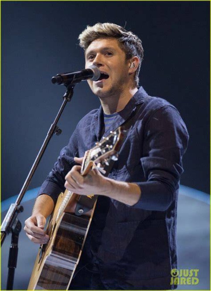 Niall Horan Makes An Appearance At Royal Ascot 2016 2