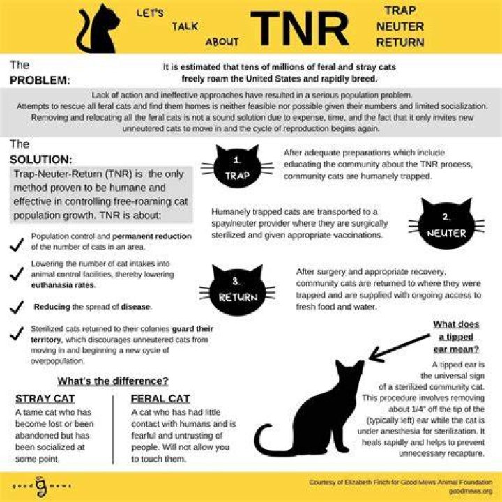 TNR